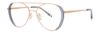 Picture of Paradigm Eyeglasses 20-21