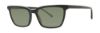 Picture of Paradigm Sunglasses 20-57