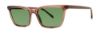 Picture of Paradigm Sunglasses 20-57