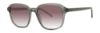 Picture of Paradigm Sunglasses 20-55