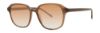Picture of Paradigm Sunglasses 20-55