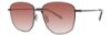 Picture of Paradigm Sunglasses 20-53
