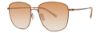 Picture of Paradigm Sunglasses 20-53
