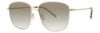 Picture of Paradigm Sunglasses 20-53