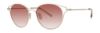 Picture of Paradigm Sunglasses 20-51