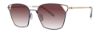 Picture of Paradigm Sunglasses 20-50