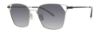 Picture of Paradigm Sunglasses 20-50