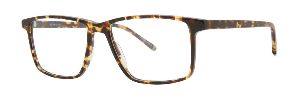 Picture of Paradigm Eyeglasses 20-11