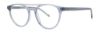 Picture of Paradigm Eyeglasses 20-06