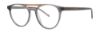 Picture of Paradigm Eyeglasses 20-06