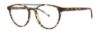 Picture of Paradigm Eyeglasses 20-06