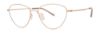 Picture of Paradigm Eyeglasses 20-03