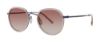 Picture of Paradigm Sunglasses 19-43