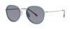 Picture of Paradigm Sunglasses 19-43