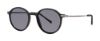 Picture of Paradigm Sunglasses 19-40