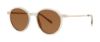 Picture of Paradigm Sunglasses 19-40