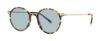 Picture of Paradigm Sunglasses 19-40