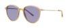 Picture of Paradigm Sunglasses 19-39