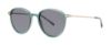 Picture of Paradigm Sunglasses 19-39