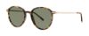 Picture of Paradigm Sunglasses 19-39
