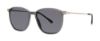 Picture of Paradigm Sunglasses 19-38