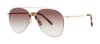 Picture of Paradigm Sunglasses 19-34