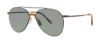 Picture of Paradigm Sunglasses 19-34