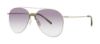 Picture of Paradigm Sunglasses 19-34