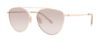 Picture of Paradigm Sunglasses 19-33