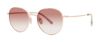 Picture of Paradigm Sunglasses 19-32