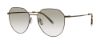Picture of Paradigm Sunglasses 19-30