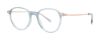 Picture of Paradigm Eyeglasses 19-23