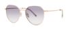Picture of Paradigm Sunglasses 19-30