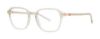 Picture of Paradigm Eyeglasses 19-21