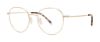 Picture of Paradigm Eyeglasses 19-09
