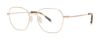 Picture of Paradigm Eyeglasses 19-01