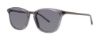 Picture of Paradigm Sunglasses 19-42