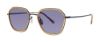 Picture of Paradigm Sunglasses 19-37