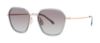 Picture of Paradigm Sunglasses 19-37