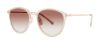 Picture of Paradigm Sunglasses 19-36