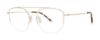 Picture of Paradigm Eyeglasses 19-06
