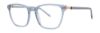 Picture of Paradigm Eyeglasses 19-22