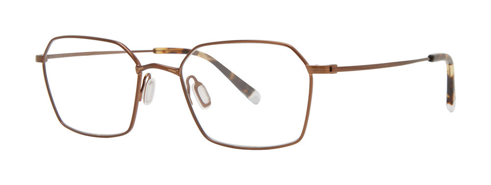 Picture of Paradigm Eyeglasses 19-02