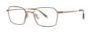 Picture of Paradigm Eyeglasses 19-02