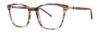 Picture of Paradigm Eyeglasses 19-22