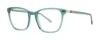 Picture of Paradigm Eyeglasses 19-22