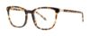 Picture of Paradigm Eyeglasses 19-22