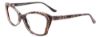 Picture of Paradox Eyeglasses P5045