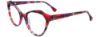 Picture of Paradox Eyeglasses P5091