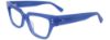 Picture of Paradox Eyeglasses P5093